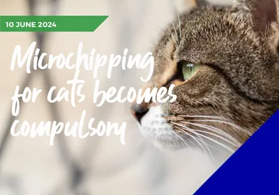 Cat microchipping legislation is now confirmed