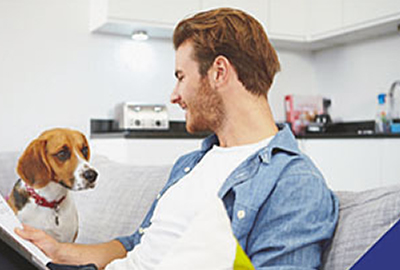 Importance of pet insurance