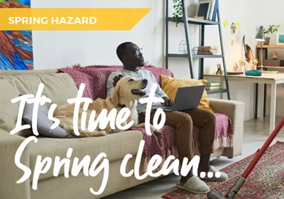 Keeping your pet safe and healthy whilst you're Spring cleaning