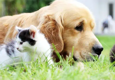 Top 10 hazards to watch out for this summertime in Leeds