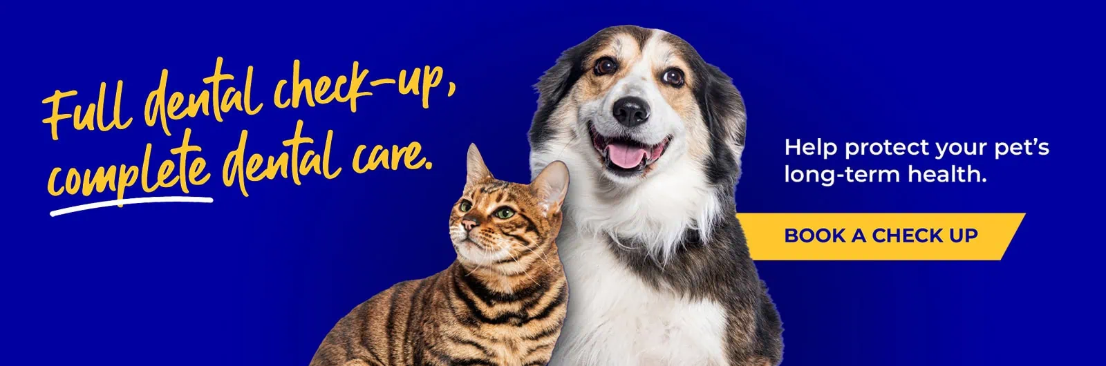 Abbey House Veterinary Hospital with 5 vet practices in Leeds