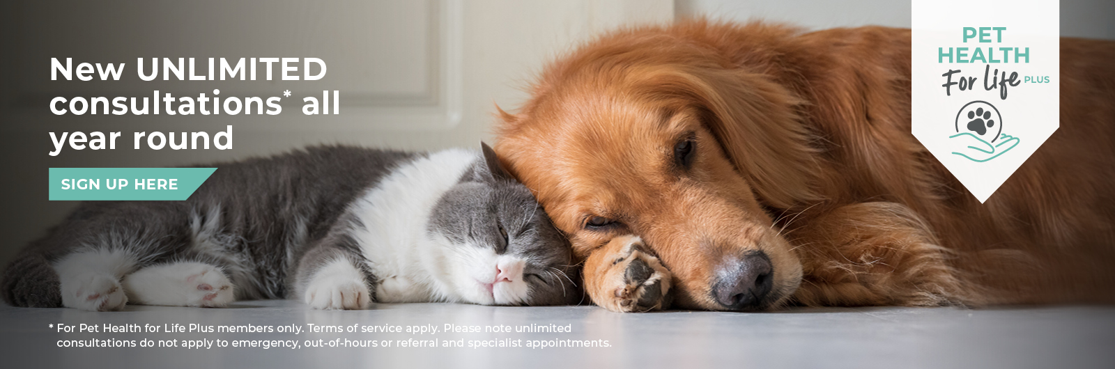 Abbey House Veterinary Hospital with 6 vet practices in Leeds