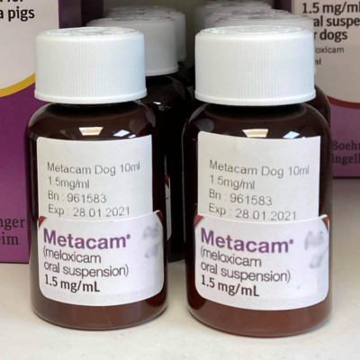 Metacam supply issues