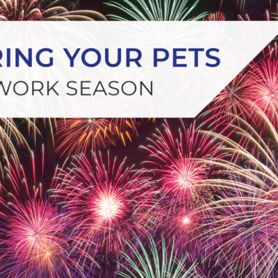 Preparing your pet for firework season