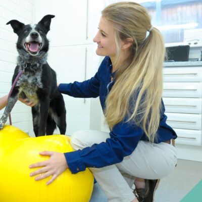Senior Pets Physiotherapy