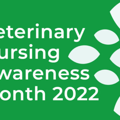 Veterinary Nursing Awareness Month at Abbey House Vets
